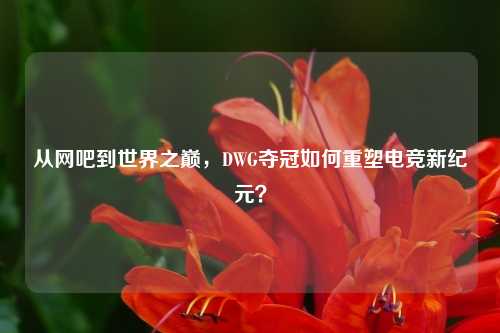 从网吧到世界之巅，DWG夺冠如何重塑电竞新纪元？
