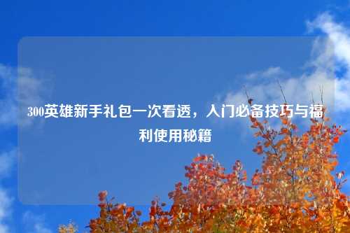 300英雄新手礼包一次看透，入门必备技巧与福利使用秘籍