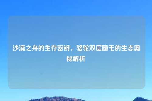 沙漠之舟的生存密钥，骆驼双层睫毛的生态奥秘解析