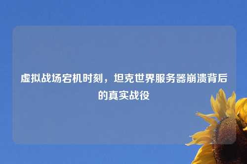 虚拟战场宕机时刻，坦克世界服务器崩溃背后的真实战役