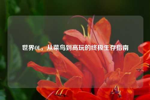 世界OL，从菜鸟到高玩的终极生存指南