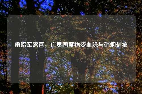 幽暗军需官，亡灵国度物资血脉与硝烟刻痕