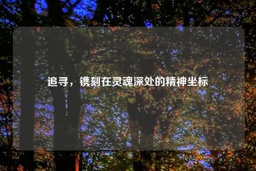 追寻，镌刻在灵魂深处的精神坐标
