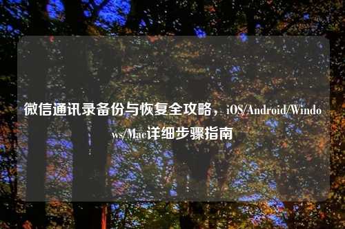 微信通讯录备份与恢复全攻略，iOS/Android/Windows/Mac详细步骤指南