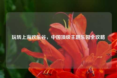 玩转上海欢乐谷，中国顶级主题乐园全攻略