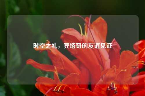时空之礼，宾塔奇的友谊见证