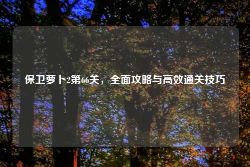 保卫萝卜2第66关，全面攻略与高效通关技巧