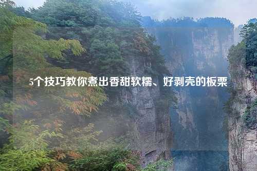 5个技巧教你煮出香甜软糯、好剥壳的板栗