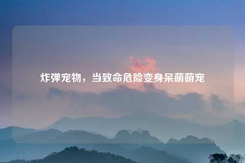 炸弹宠物，当致命危险变身呆萌萌宠