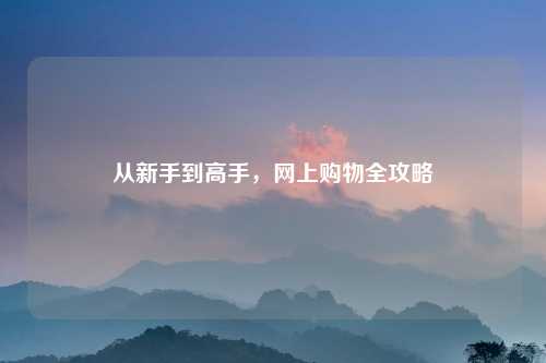 从新手到高手，网上购物全攻略
