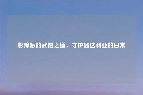 影踪派的武僧之道，守护潘达利亚的日常