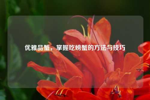 优雅品蟹，掌握吃螃蟹的方法与技巧