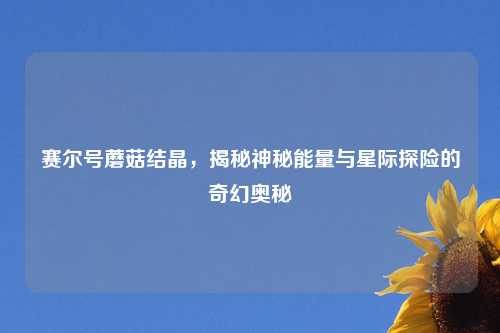 赛尔号蘑菇结晶，揭秘神秘能量与星际探险的奇幻奥秘