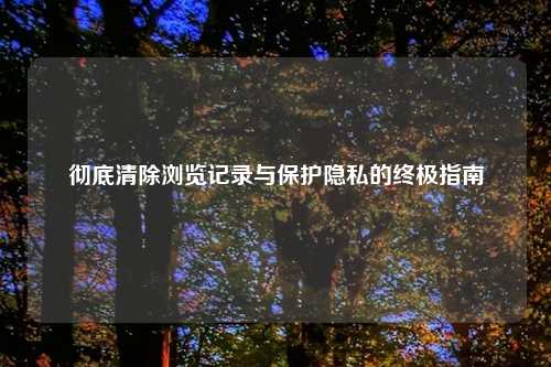 彻底清除浏览记录与保护隐私的终极指南