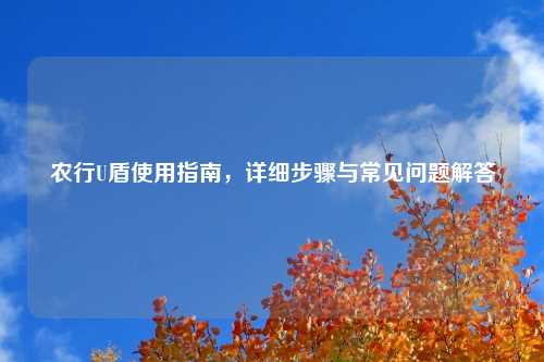 农行U盾使用指南，详细步骤与常见问题解答