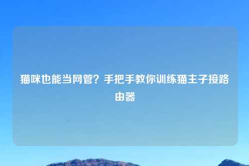 猫咪也能当网管？手把手教你训练猫主子接路由器