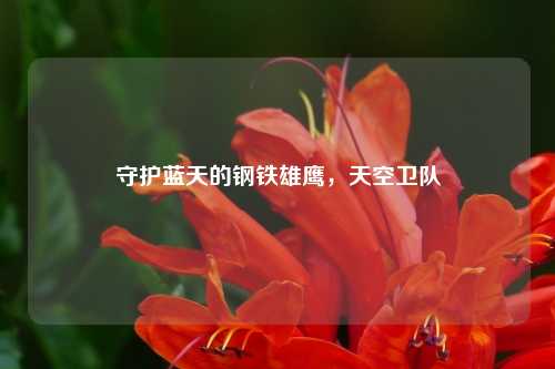 守护蓝天的钢铁雄鹰，天空卫队