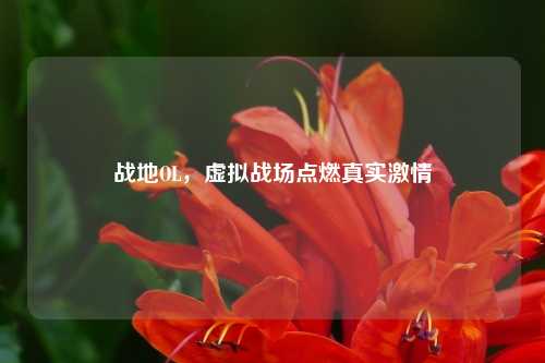 战地OL，虚拟战场点燃真实激情