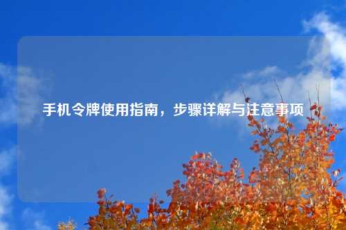 手机令牌使用指南，步骤详解与注意事项