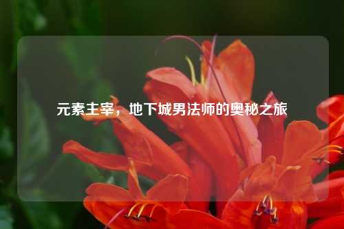 元素主宰，地下城男法师的奥秘之旅
