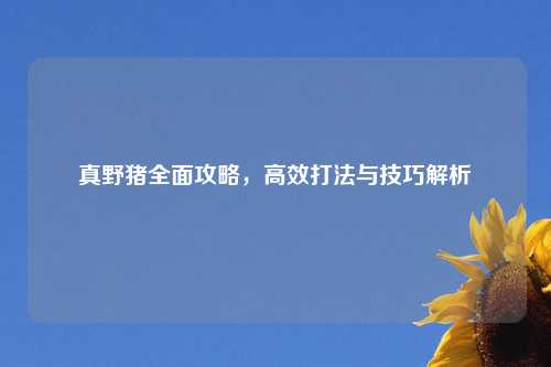 真野猪全面攻略，高效打法与技巧解析