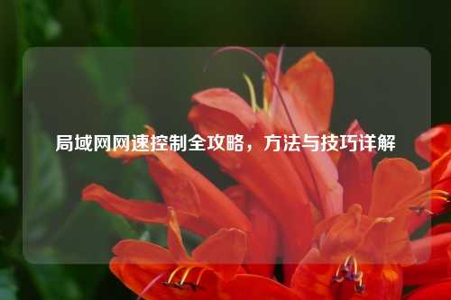 局域网网速控制全攻略，方法与技巧详解