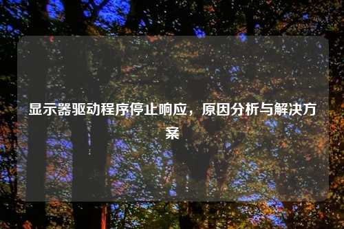 显示器驱动程序停止响应，原因分析与解决方案