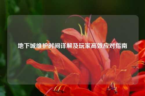 地下城维护时间详解及玩家高效应对指南