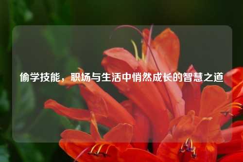 偷学技能，职场与生活中悄然成长的智慧之道