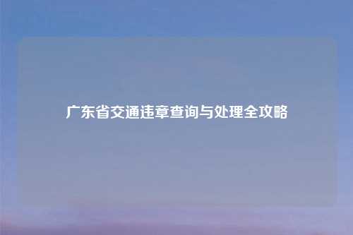 广东省交通违章查询与处理全攻略