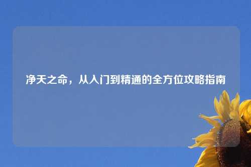 净天之命，从入门到精通的全方位攻略指南