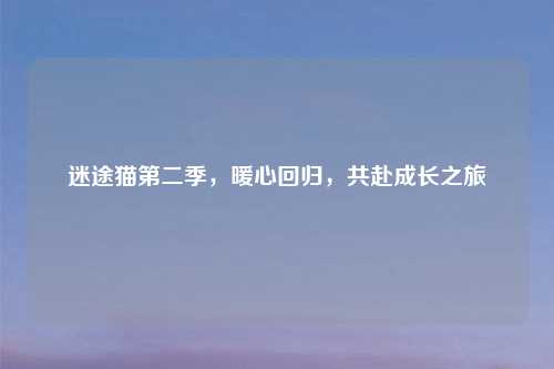 迷途猫第二季，暖心回归，共赴成长之旅