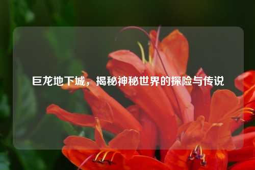 巨龙地下城，揭秘神秘世界的探险与传说