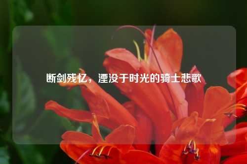 断剑残忆，湮没于时光的骑士悲歌