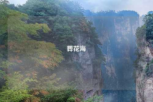 葬花海