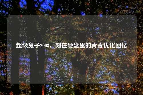 超级兔子2008，刻在硬盘里的青春优化回忆