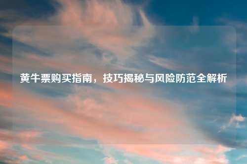 黄牛票购买指南，技巧揭秘与风险防范全解析