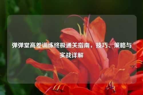 弹弹堂高差训练终极通关指南，技巧、策略与实战详解