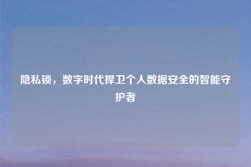 隐私锁，数字时代捍卫个人数据安全的智能守护者