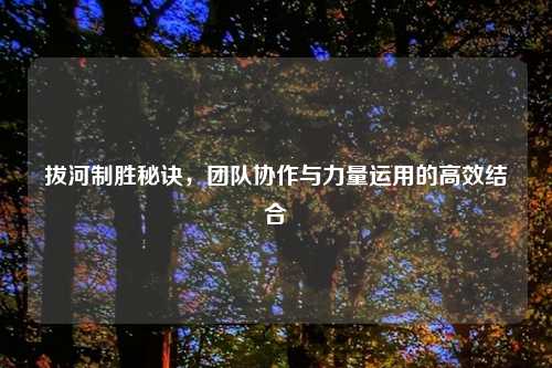 拔河制胜秘诀，团队协作与力量运用的高效结合