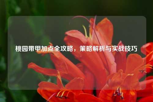 桃园带甲加点全攻略，策略解析与实战技巧