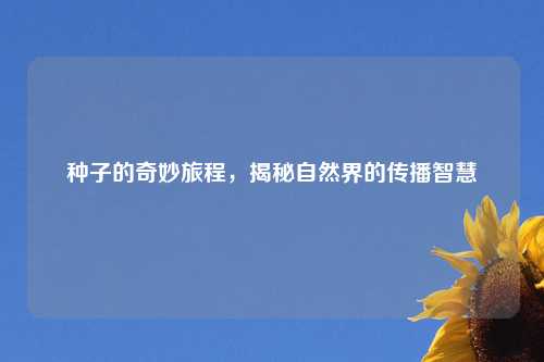 种子的奇妙旅程，揭秘自然界的传播智慧