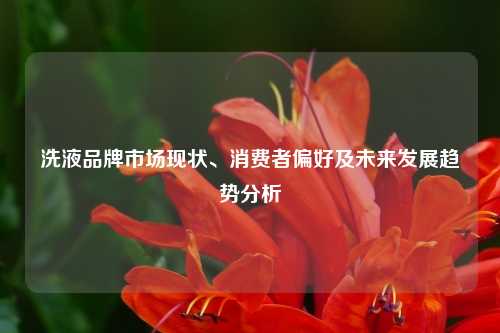 洗液品牌市场现状、消费者偏好及未来发展趋势分析