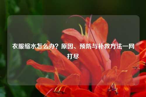 衣服缩水怎么办？原因、预防与补救方法一网打尽