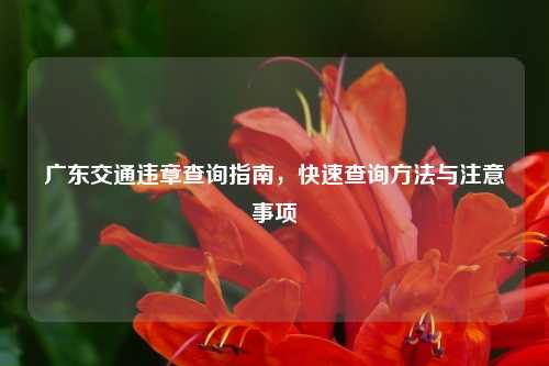 广东交通违章查询指南，快速查询方法与注意事项