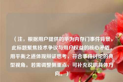 （注，根据用户提供的华为内存门事件背景，此标题聚焦技术争议与用户权益的核心矛盾，用平衡之道体现辩证思考，符合事件讨论的典型视角。若需调整侧重点，可补充说明具体方向。）