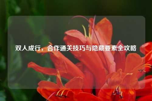 双人成行，合作通关技巧与隐藏要素全攻略