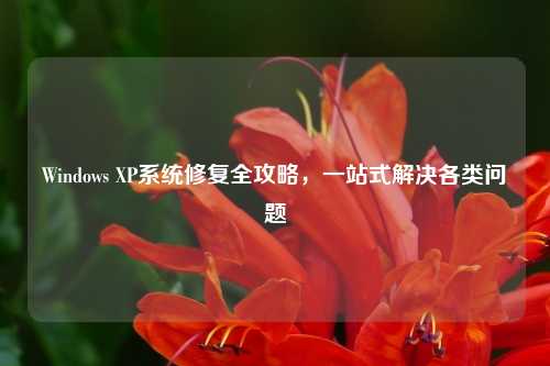 Windows XP系统修复全攻略，一站式解决各类问题