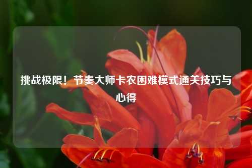 挑战极限！节奏大师卡农困难模式通关技巧与心得