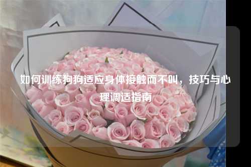 如何训练狗狗适应身体接触而不叫，技巧与心理调适指南